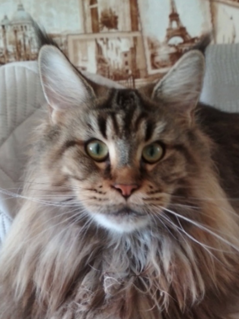 ANiTaCoon Krasava